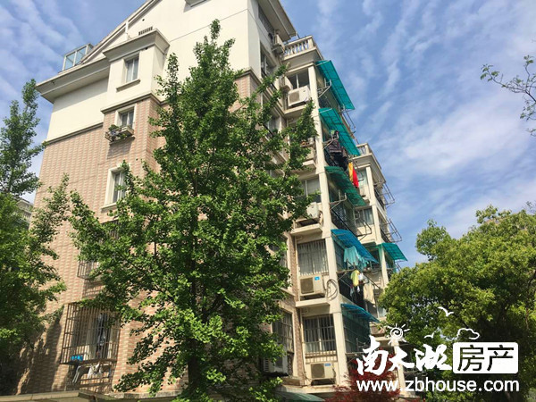 多层实景图