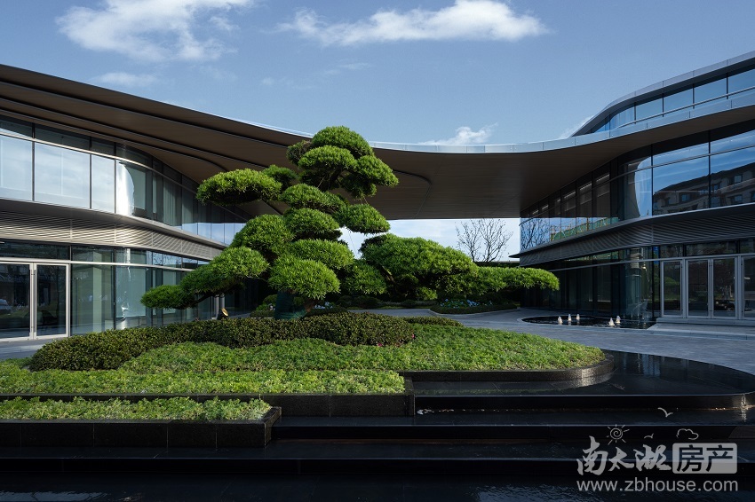 实景图